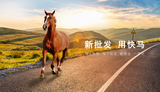 文章附图